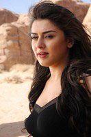 Hansika Latest Hot Photos